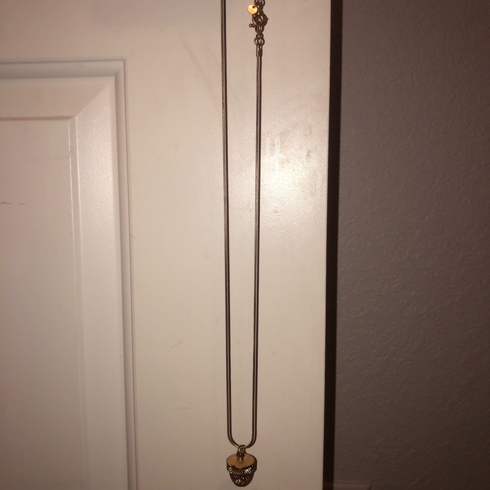 Long Acorn Madewell Necklace